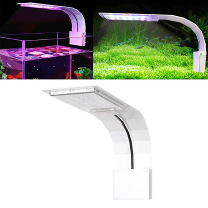 Belro Super Slim LED Fish Tank Aquarium Light illuminating aquatic plants in a clear fish tank for vibrant underwater display.