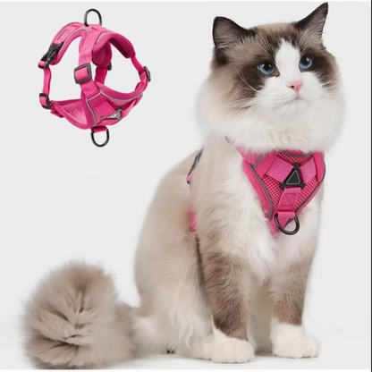 Belro reflective cat harness and leash set with adjustable straps and safety features, designed for secure outdoor walks.