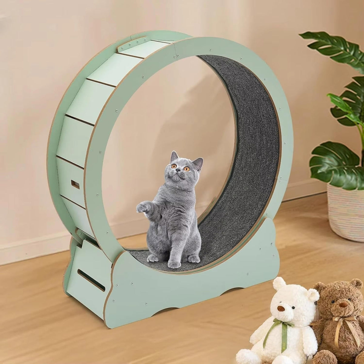 Belro cat exercise wheel designed for pets, featuring a compact, circular running surface suitable for indoor use.