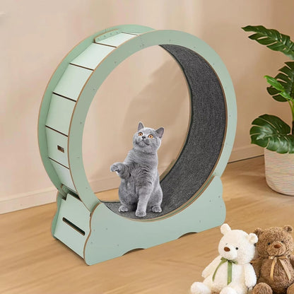 Belro cat exercise wheel designed for pets, featuring a compact, circular running surface suitable for indoor use.