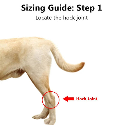Belro orthopedic dog brace suspenders showing adjustable straps and supportive design for canine mobility assistance.
