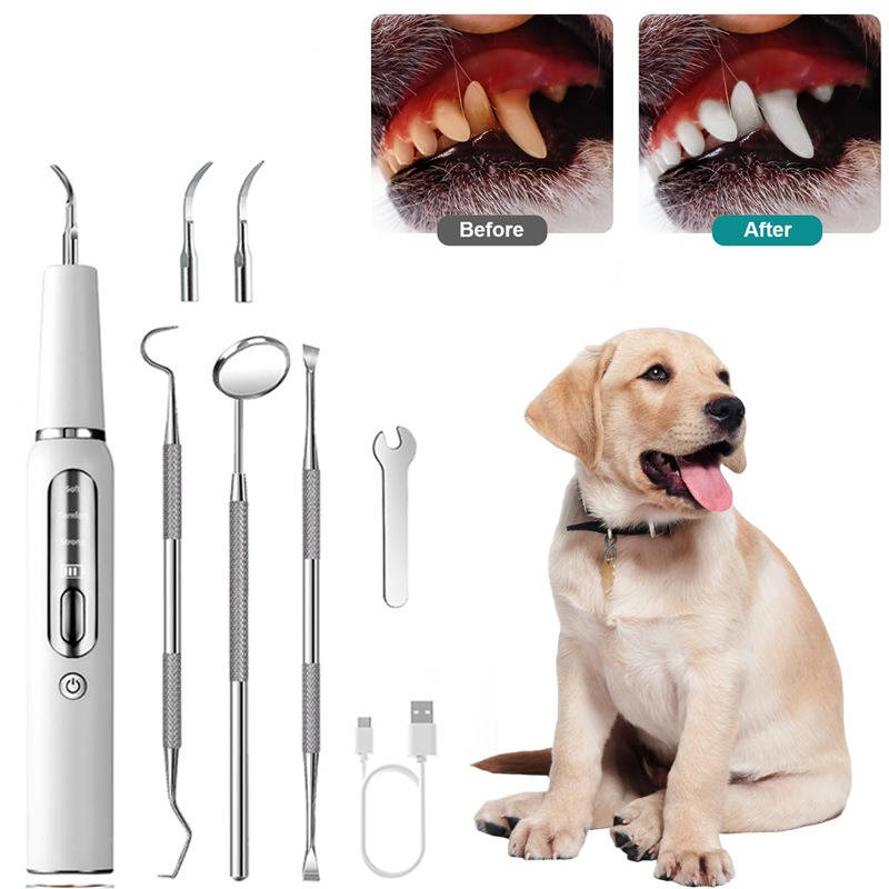 Belro dog dental plaque and tartar remover tool for at-home oral care, showing the device used on a dog's teeth.