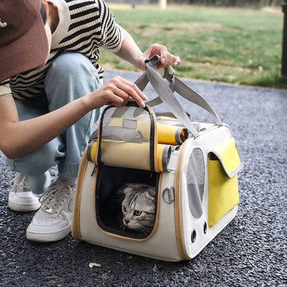 Belro travel pet carrier for cats and small dogs, automotive style, with mesh sides and secure zipper for safe transportation.