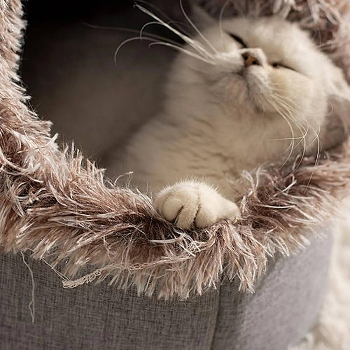 Belro winter cat bed with plush interior and cozy design, ideal for keeping cats warm and comfortable during cold weather.