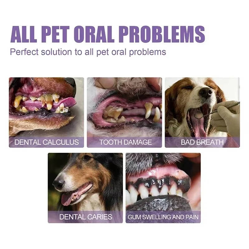 Belro 3-set dog oral repair gel for oral health, featuring natural ingredients in a health and beauty oral care product for pets.