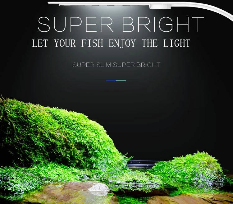 Belro super slim LED fish tank aquarium light illuminating aquatic plants in a clear aquarium setup.
