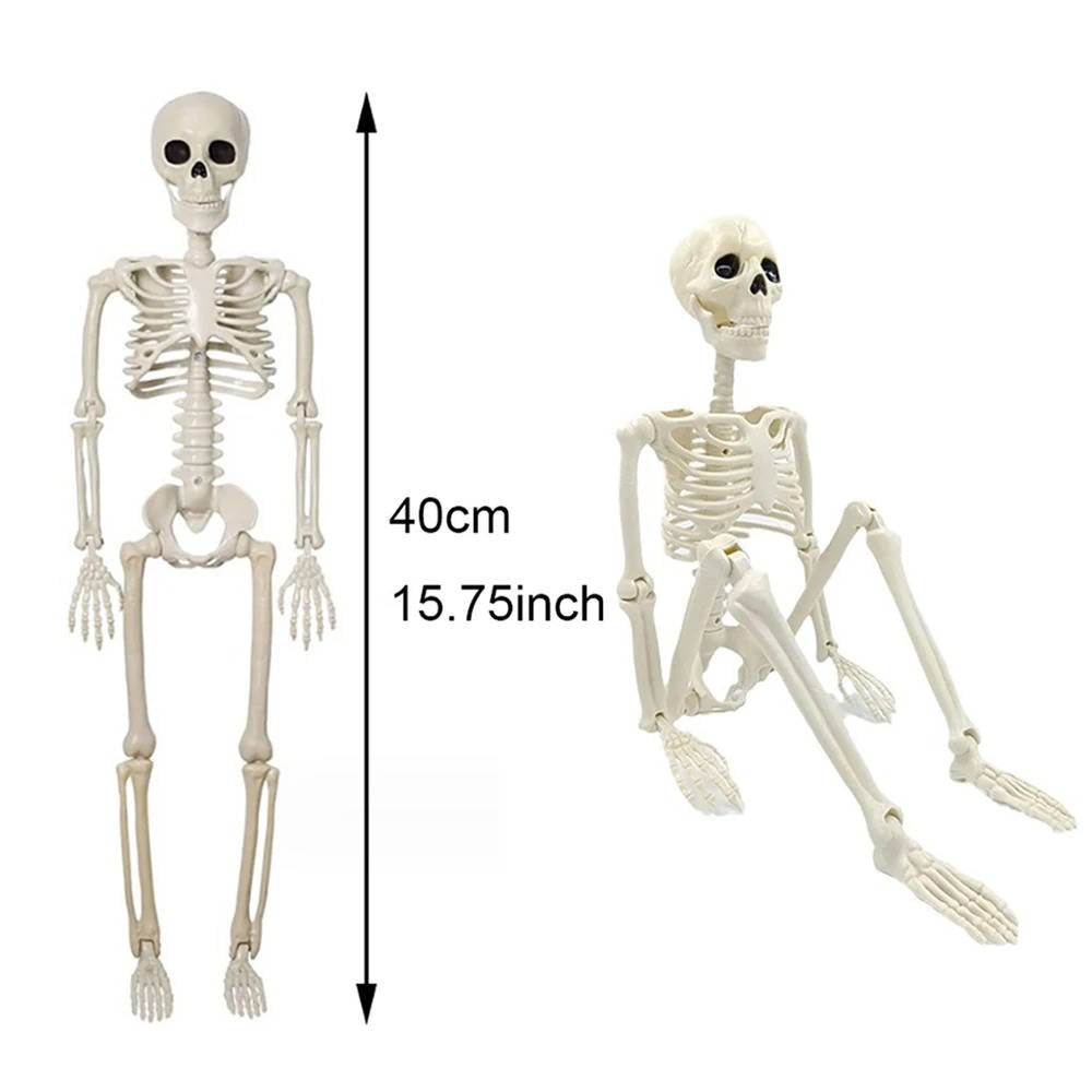 Belro human skeleton Halloween outdoor decoration for home and garden, realistic bone structure for spooky outdoor decor.