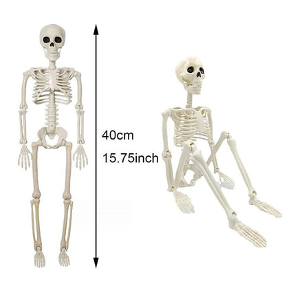 Belro human skeleton Halloween outdoor decoration for home and garden, realistic bone structure for spooky outdoor decor.