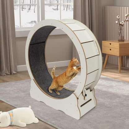 Belro men's cat exercise wheel clothing, showing a comfortable fabric design ideal for active pet owners.