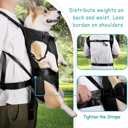 Belro dog carrying backpack in black with mesh ventilation and adjustable straps, designed for comfortable pet travel.