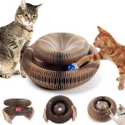 Belro cat scratcher with ball track, made of wood, designed for indoor cats to scratch and play comfortably.