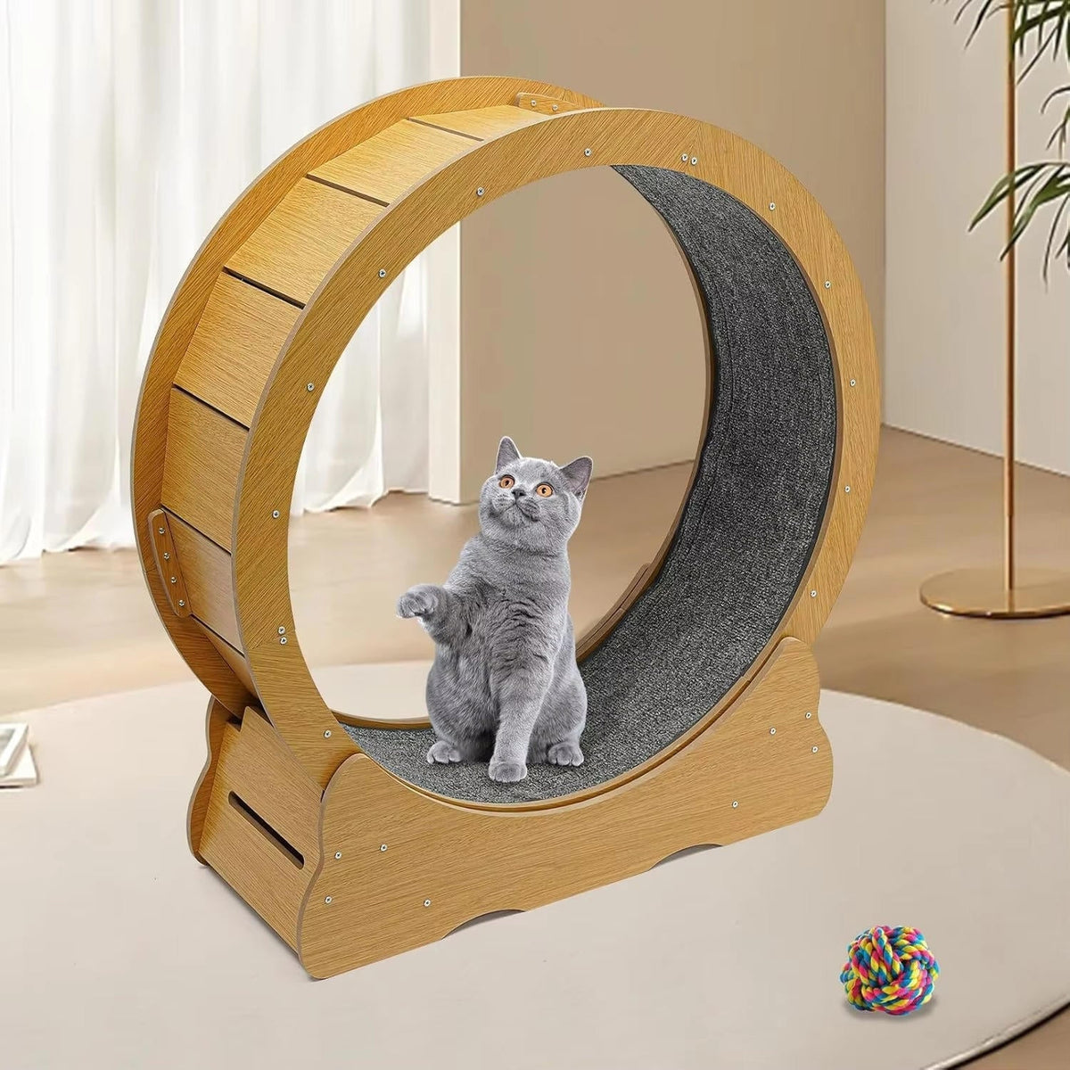 Belro cat exercise wheel designed for indoor activity, featuring a sturdy frame and running surface for feline fitness.