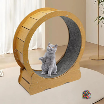 Belro cat exercise wheel designed for indoor activity, featuring a sturdy frame and running surface for feline fitness.
