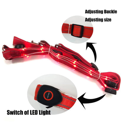 Belro LED breast collar for dogs, illuminated pet collar with bright LED lights for visibility and safety during walks.