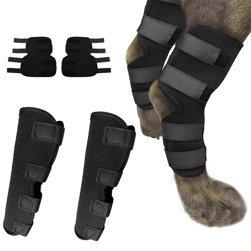Belro orthopedic dog brace suspenders showing adjustable straps and supportive design for canine joint stability.