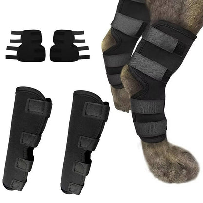 Belro orthopedic dog brace suspenders showing adjustable straps and supportive design for canine joint stability.