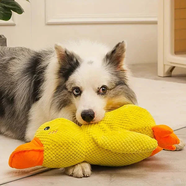 Belro durable duck toy for dogs, soft plush pet toy designed for chewing and play, ideal for keeping dogs entertained.