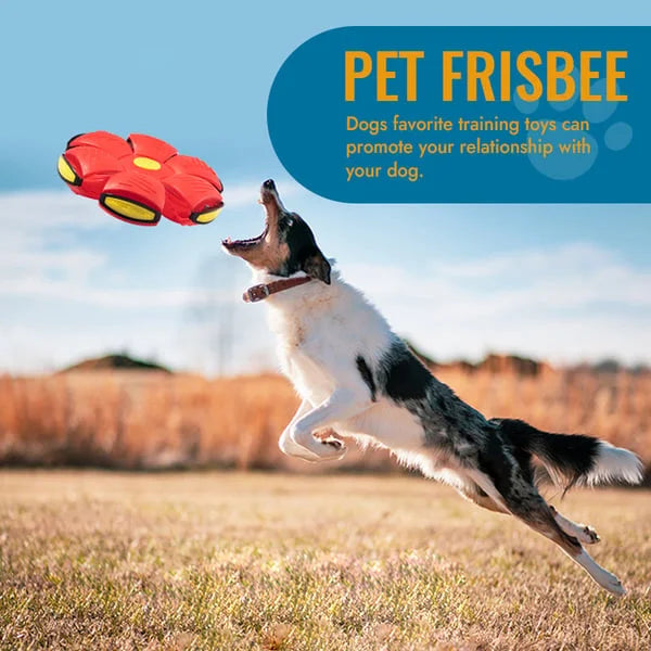 Belro Flying Saucer Ball dog toy for pets, featuring a colorful, round design ideal for outdoor play and fetch.