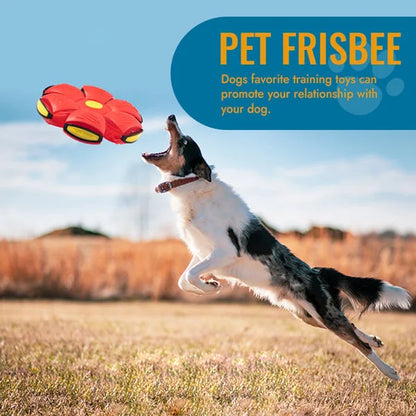 Belro Flying Saucer Ball dog toy for pets, featuring a colorful, round design ideal for outdoor play and fetch.
