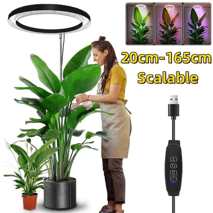 Belro indoor plant grow light with adjustable arms and LED bulbs, ideal for home and garden indoor gardening.