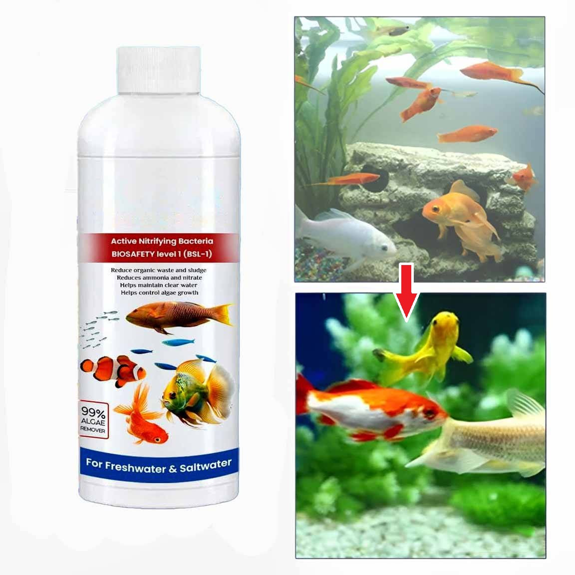 Belro 3 Pack Fish Tank Cleaner Liquid bottles for aquarium cleaning, featuring clear labels and blue caps.