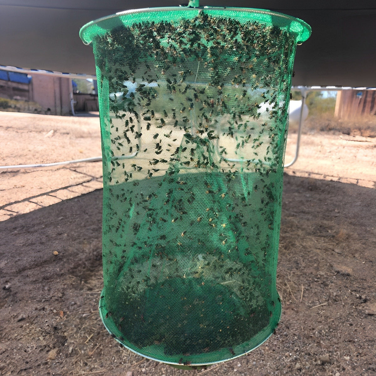 Belro stable fly trap for outdoor pest control, showing the trap with attractant and hanging setup in a garden setting.