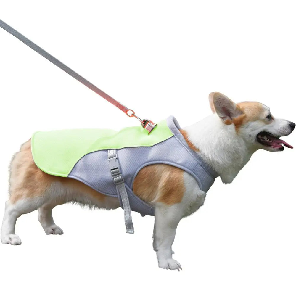 Green Belro dog cooling vest designed for outdoor activities, lightweight and breathable pet clothing for hot weather.