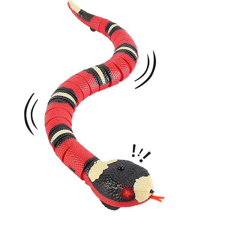 Colorful Belro interactive cat toy with moving parts and feathers, designed to engage and entertain cats during playtime.