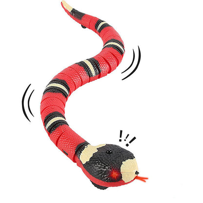 Colorful Belro interactive cat toy with moving parts and feathers, designed to engage and entertain cats during playtime.