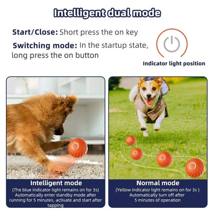 Belro Active Rolling Ball cat toy with automatic movement, designed to entertain and reduce anxiety in cats with fun, moving features.