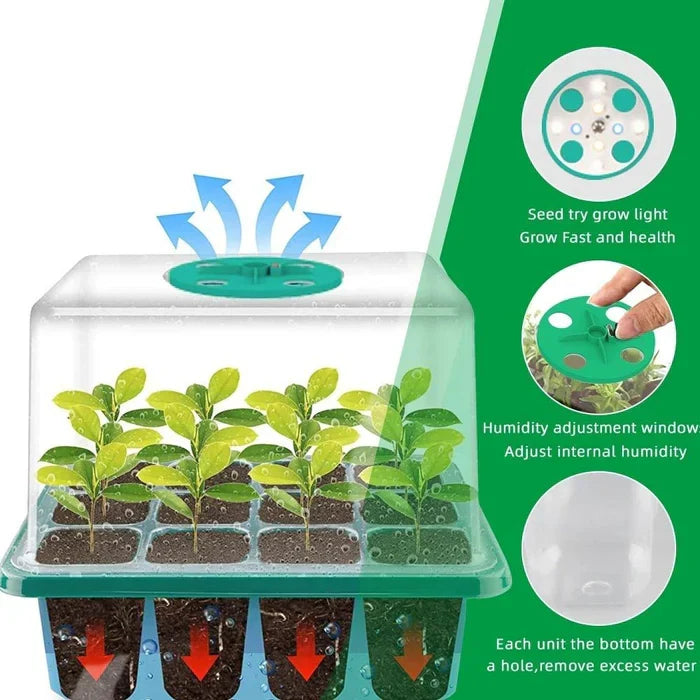 Belro nursery pot with grow light, indoor plant seed starter tray for gardening and plant propagation in home and garden spaces