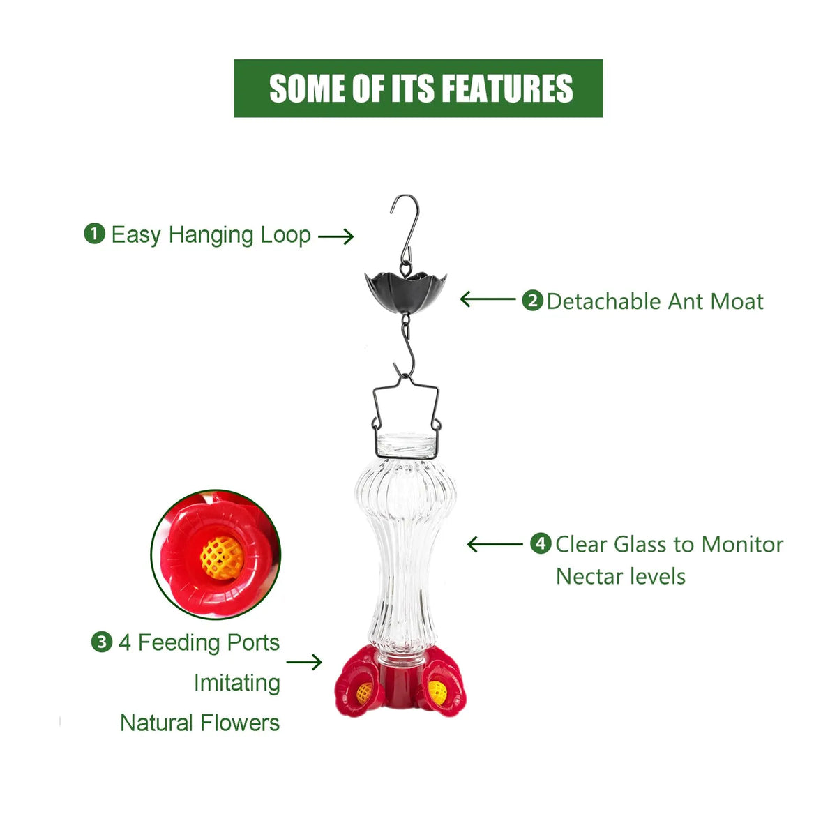 Belro Flowers Glass Hummingbird Feeder with Ant Moat for Home & Garden decor, featuring colorful glass flowers and a built-in ant moat.