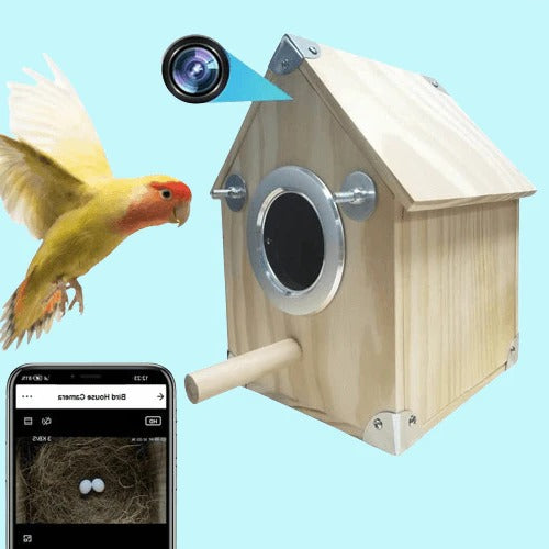 Belro bird nesting feeder with integrated camera for bird watching, set in a garden decor scene, showcasing the nesting box and camera.