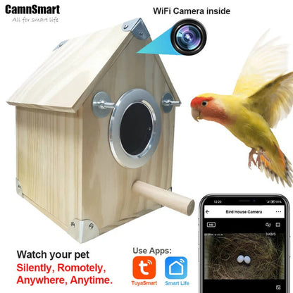 Belro bird nesting feeder with built-in camera for bird watching, mounted on a garden tree in a natural outdoor setting.