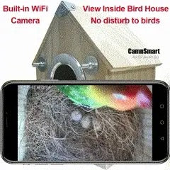 Belro bird nesting feeder with built-in camera, designed for bird watch enthusiasts, in a garden setting.