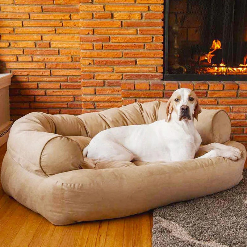 Belro dog sofa with cushioned seating and cozy fabric, perfect for comfortable pet lounging in home and garden furniture.