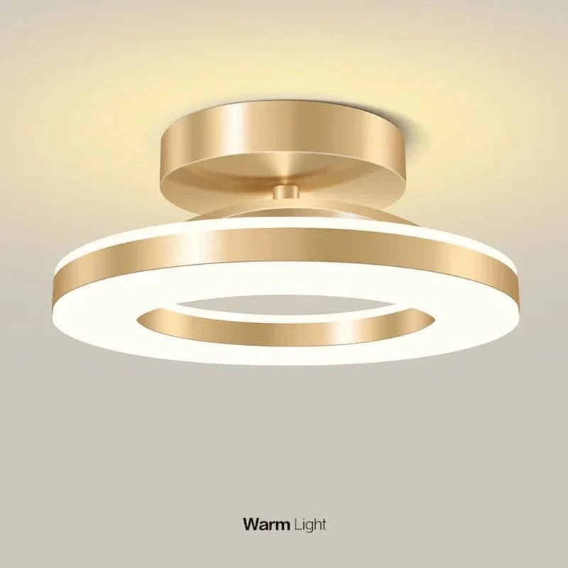 Belro LED ceiling light fixture for outdoor home and garden, bright white illumination, modern design, mounted on ceiling.