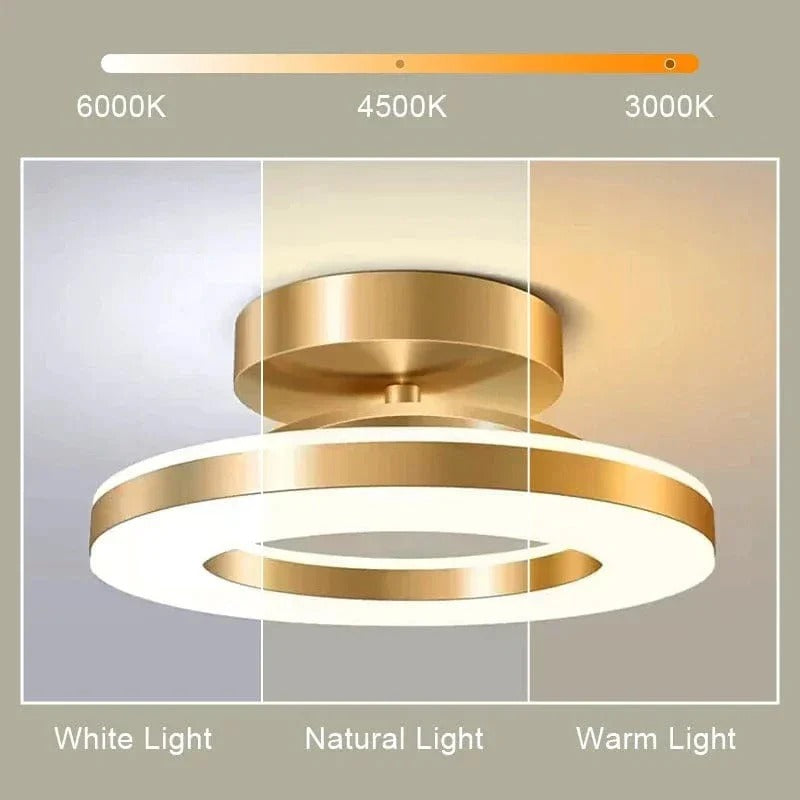 Belro LED ceiling light fixture for outdoor use, modern design with bright illumination, suitable for home and garden outdoor spaces.