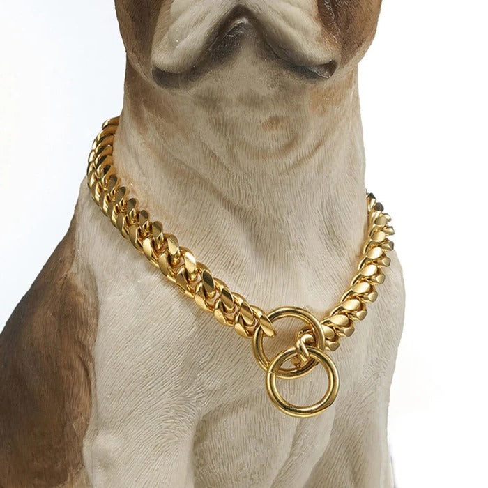 Belro heavy-duty dog collar made of durable material, shown on a large dog, designed for strength and comfort.