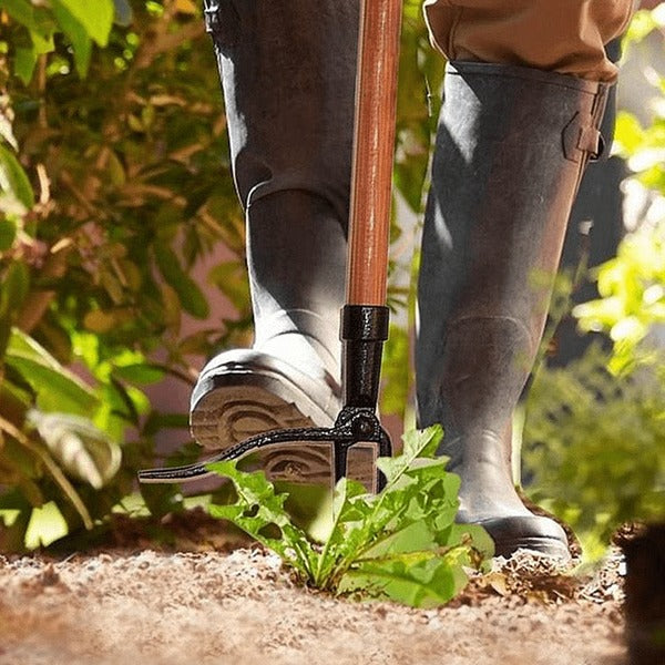 Belro men's stand-up weed puller tool, designed for easy weed removal, shown in use outdoors on a garden bed.