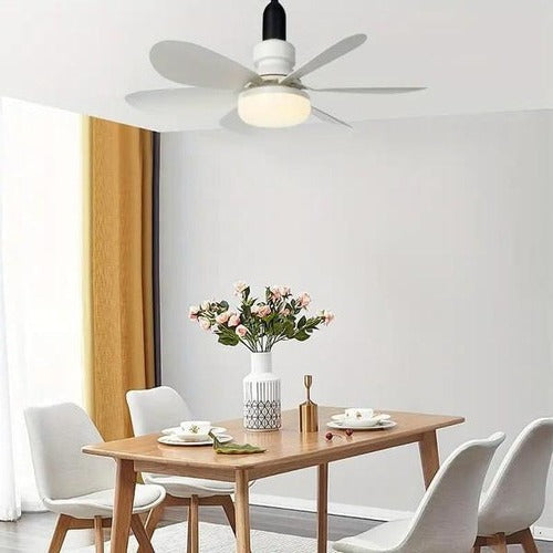 Belro ceiling-mounted outdoor fan installed on a patio, featuring sleek blades and modern design for outdoor cooling.