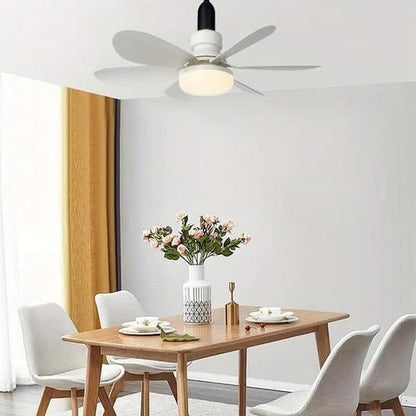 Belro ceiling-mounted outdoor fan installed on a patio, featuring sleek blades and modern design for outdoor cooling.