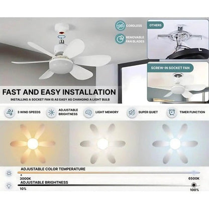 Belro ceiling-mounted outdoor fan installed in a garden patio, providing cooling and airflow in a home and garden setting.