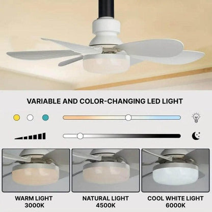 Belro ceiling-mounted outdoor fan installed on a patio ceiling, with blades and mounting bracket visible.