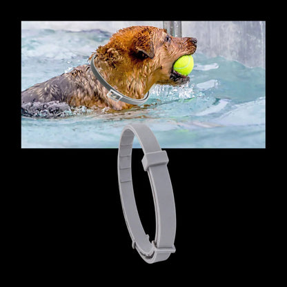 Belro parasite repellent dog collar with adjustable strap and safety buckle, designed to protect pets from parasites.