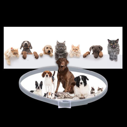 Belro parasite repellent dog collar with adjustable strap, designed to protect pets from fleas and ticks.