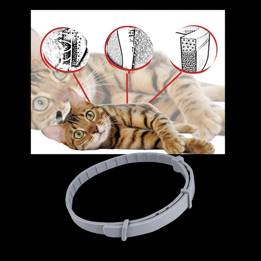 Belro parasite repellent dog collar with adjustable strap and safety buckle, designed to protect pets from fleas and ticks.