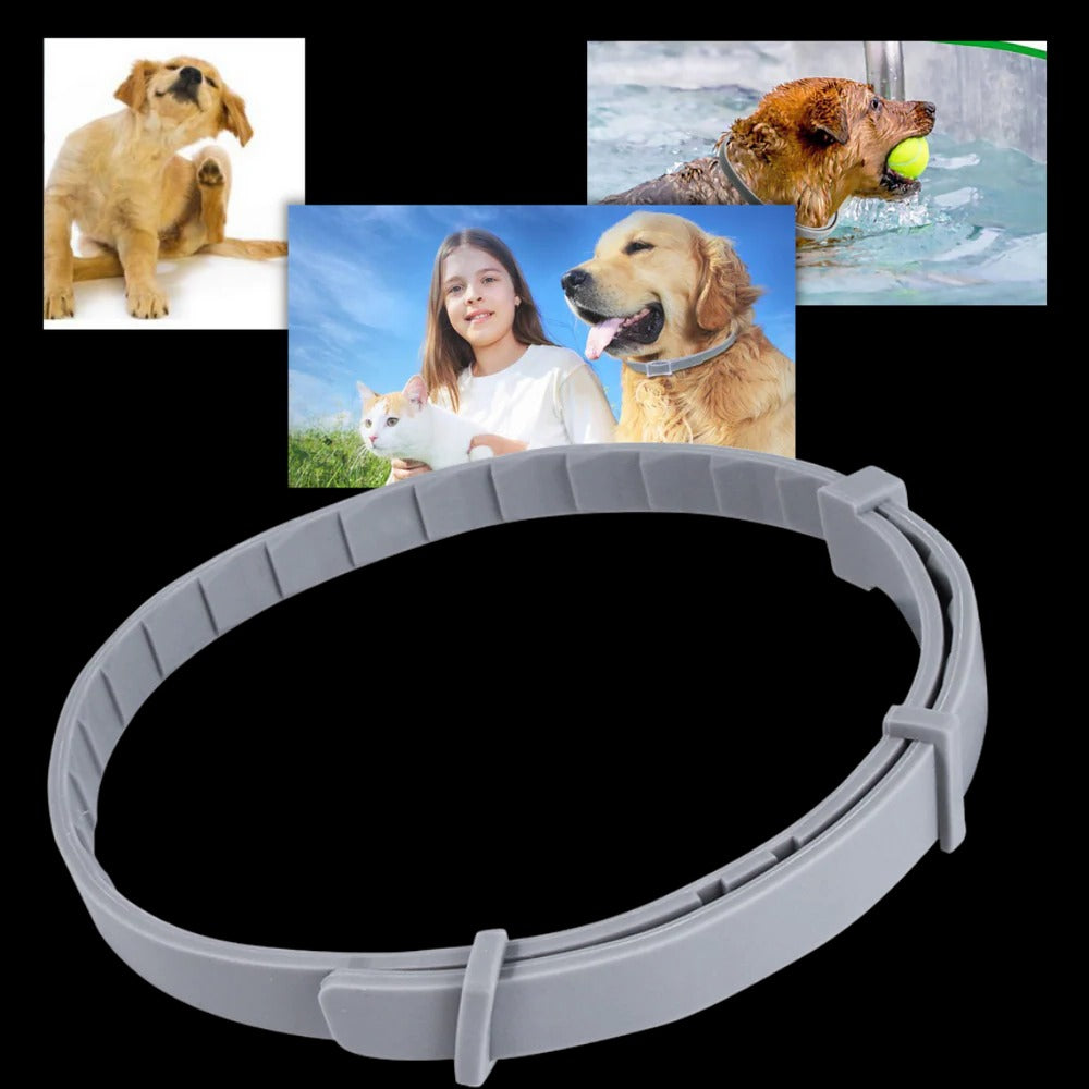 Belro parasite repellent dog collar with adjustable strap and safety buckle, designed to protect pets from parasites.