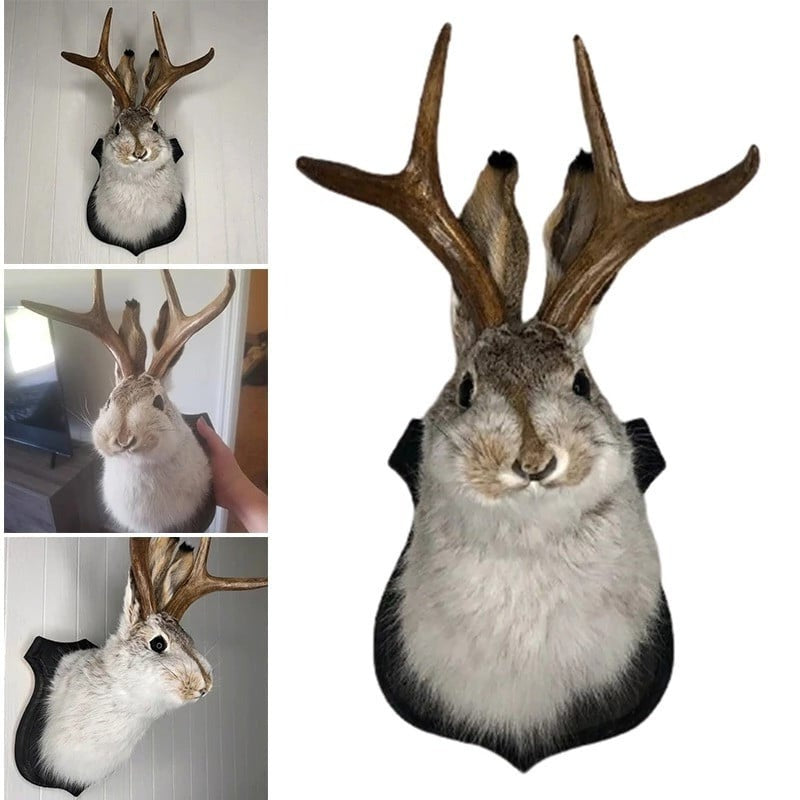 Belro Jackalope wall decor featuring a detailed, rustic antelope sculpture for home or garden interior decoration.