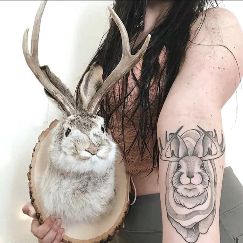 Belro Jackalope wall decor featuring a detailed, rustic animal sculpture suitable for home and garden interior accents.